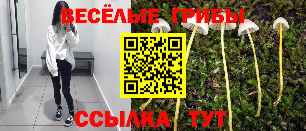 Псилоцибиновые грибы прущие грибы Великий Устюг